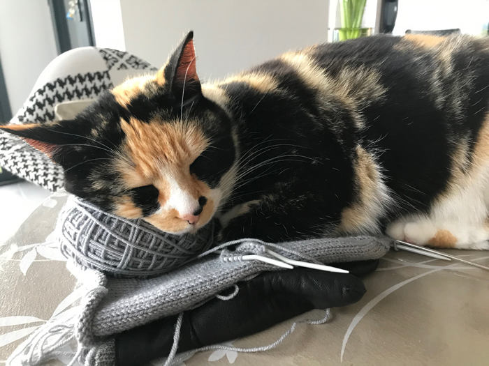 Repos sur le tricot en cours