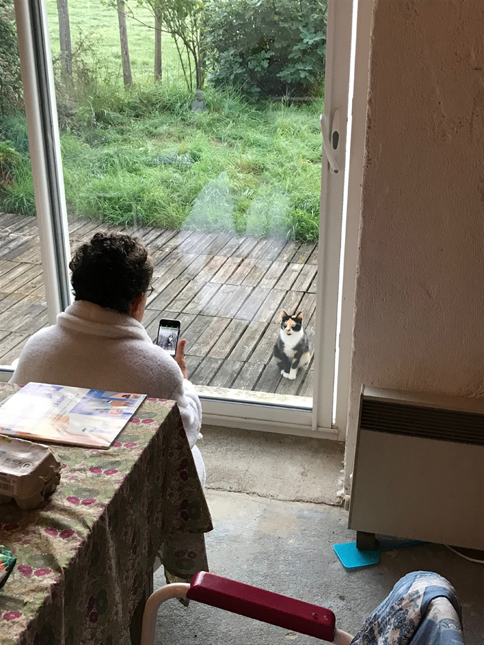 Lola devant la baie vitrée